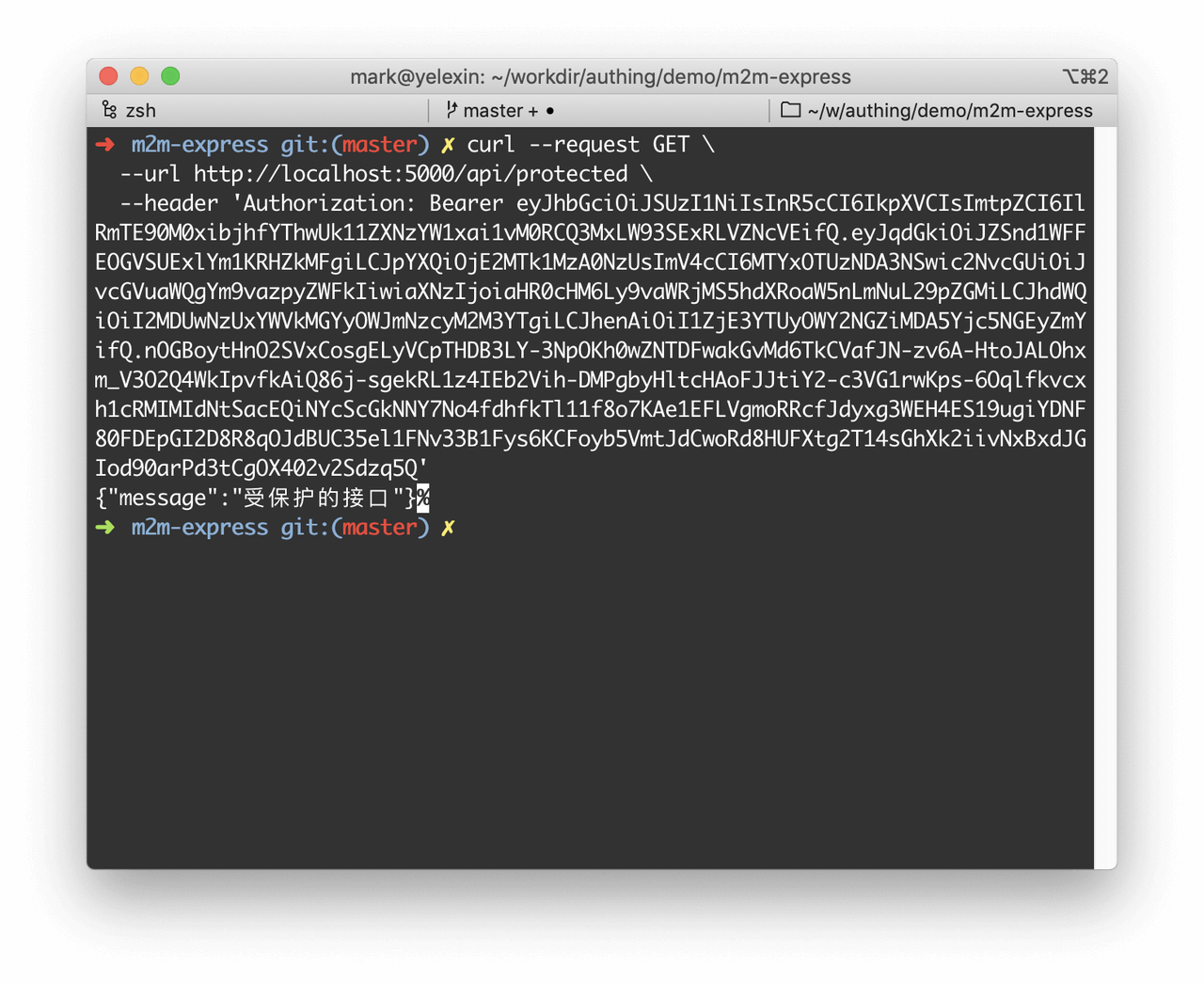 Node.js Express API Server 快速开始 | Authing 文档